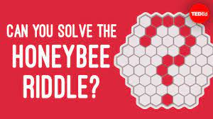 Can You Solve The Honeybee Riddle Dan Finkel Youtube