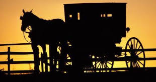 And, as npr's planet money recently found out while visiting an amish trade show in ohio. Amish Faqs Ohio S Amish Country