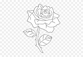 Maybe you would like to learn more about one of these? Flowers Rose Drawing White Rose Drawing Png Free Transparent Png Clipart Images Download