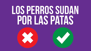 El primer mundial se disputo en brasil. Falso O Verdadero Youtube