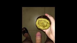 Gay Nick Avocado Porn - Best Free Videos 2025