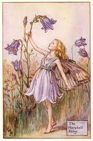 The Harebell Fairy Summer Fairy Vintage Fairies Fairy Illustration
