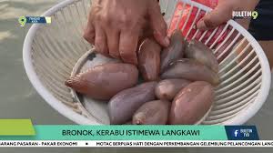 Bronok, Kerabu Istimewa Langkawi | Facebook