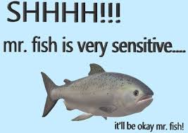Tell Mr Fish It Will Be Okay In 2020 Stupid Memes Cute Memes Funny Memes