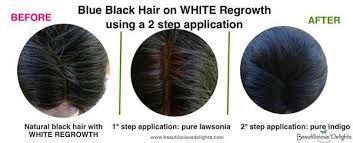 Dark Purple Hair Blue Black Hair Or Jet Black Hair Using Katam Or Indigo Powder Blue Black Hair Dark Purple Hair Black Hair Henna