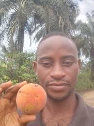 In my hand is Bitter cola. It was planted 5 years ago. If you did not plant  bitter cola 5 years ago... You can plant it today and harvest bountifully  in the