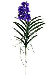 While you may have a hard time trying to keep your living blossoms fresh during the celebration. 28 8243 Vanda Orchid Plant Purple Lavender Vanda Orchids Artificial Flowers And Plants Orchid Plants