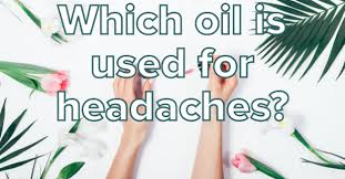 Read on for some hilarious trivia questions that will make your brain and your funny bone work overtime. Only An Essential Oils Expert Can Pass This Trivia Quiz