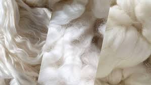 Polyester vs. Cotton: Choosing The Best Fabric For You