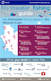 Fishing Rights and Permits | Western Cape Government