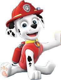 Marshall Gallery Paw Patrol Wiki Fandom Paw Patrol Birthday Theme Marshall Paw Patrol Paw Patrol Costume