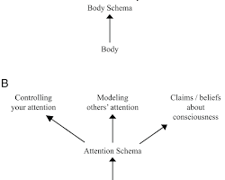 Immagine di diagram representing the relationship between consciousness and the world