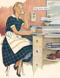 Long Story Short I Made Bail Anne Taintor Retro Humor Vintage Humor Housewife Humor