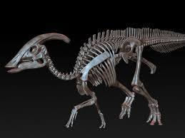 Parasaurolophus Skeleton Saurolophus Max Dinosaur Skeleton Dinosaur Fossils Dinosaur Art