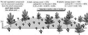 Image result for Ozoroa pwetoensis
