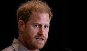 Vương tử Harry bị chỉ trích vì nhắc đến Meghan tại hội nghị an toàn trực  tuyến cho trẻ em
