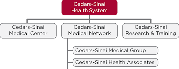 16 Uncommon Cedars Sinai Organizational Chart