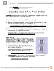 Rna and protein synthesis gizmo. Rna Protein Synthesis Gizmo Completed Docx Name Date Student Exploration Rna And Protein Synthesis Vocabulary Amino Acid Anticodon Codon Gene Course Hero