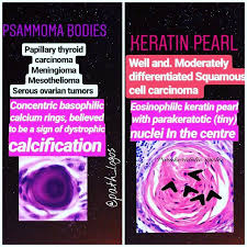Examination® (usmle®) is a joint program of the fsmb and the nbme. Pathlogos The Image Shows Difference And Significance Of Facebook
