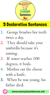 5 Example Of Declarative Sentence Definition And Example Sentences Example Sentences In 2020 Declarative Sentences Sentence Examples Sentences