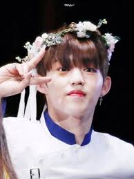 SEVENTEEN stage names & faces Flashcards