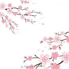 Cvet Vishnevogo Cvetka V Ploskom Stile Cherry Blossom Art Cherry Blossom Background Cherry Blossom Vector