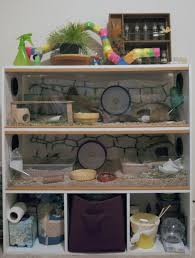 Proud Of Your Hamsters Cage Gerbille Animaux De Compagnie Souris