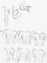 Pen settings for anime art in any style. Muscle Anatomy Tutorial Sorta Xd Anatomy Art Human Anatomy Art Human Body Drawing