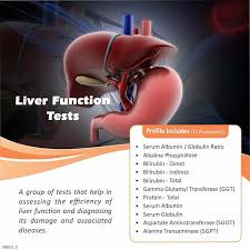Image result for Liver Function Test