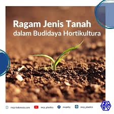 Untuk itu, tanaman sayur dapat dibedakan berdasarkan bagian yang dapat dimanfaatkan untuk dikonsumsi. Jenis Tanah