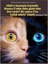 hedef 2023 adli kullanicinin ayet panosundaki pin inanc sozleri manevi dualar