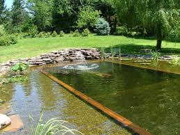 Natural Swimming Pool Ideas Outdoortheme Com
