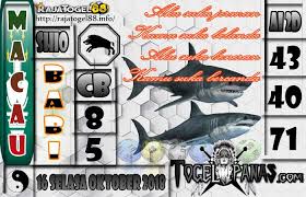 Juga berarti akan mendapatkan kebebasan, akan tetapi dalam kondisi yang tidak tertutup atau dalam sebuah akuarium. Gambar Togel Ikan Hiu