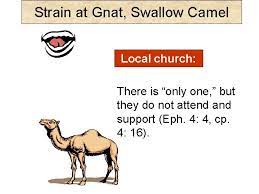 Talk about straining at a gnat and swallowing a camel!see also: Strain At Gnat Swallow Camel Jesus Spoke Many