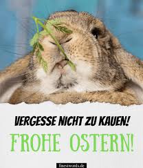 Ich wünsche dir frohe ostern. 37 Lustige Ostergrusse Finestwords