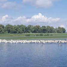 Sejur in delta dunarii pe hotelul plutitor delta ways. Turism In Delta Dunarii Home Facebook