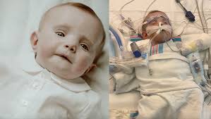 Fundraiser for Evan McCurry by Ashtin Smart : Help Baby Everett's Heart  Battle for Life