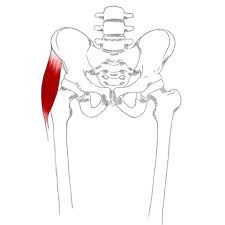 Tensor Fasciae Latae Pain Trigger Points