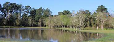 If you're a texas city resident and have a sticker on your windshield and you plan to stay the night in your rv. Fire Lake Rv Park Alvin Texas Rv Parks Mobilerving Com