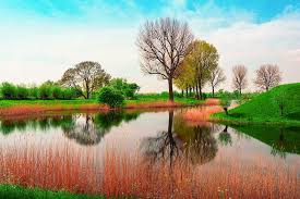 Free download 40+ cool wallpapers 2013 full hd(1080p). England May Spring Nature Trees And Grasses And Lake Photograph England Hd Wallpaper Wallpaperbetter