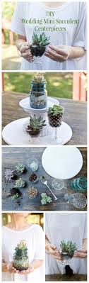 Diy Wedding Succulent Centerpieces Rustic Wedding Chic Succulent Centerpieces Wedding Centerpieces Diy Succulent Wedding Centerpieces
