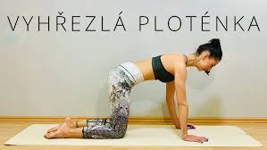 Image result for vyhřezlá ploténka