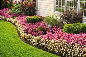 Harvest ripe vegetables, deadhead spent flowers, weed, and clean up garden debris. Flower Garden Care Centenary Landscaping Supplies