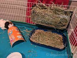 Choose a litter box or a tray that a guinea pig can easily get in and climb out of. Easy Guinea Pig Litter Box Diy Danielle