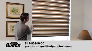 4.0 based on 29 votes. Window Blinds Illusions Shades By Budget Blinds Tampa Youtube