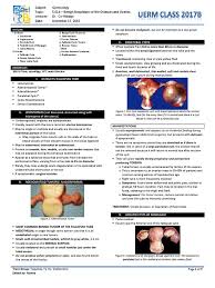 Ovarian cancer can indeed be mistaken for endometriosis. Gynecology 2 01 2 Benign Neoplasms Of The Ovary And Oviducts Dr Co Hidalgo Ovarian Cancer Ovary