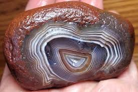 Image result for Agate Red Brown 1956 Wayne Works