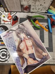 NSFW I did it again boys, imported another hard copy doujinshi from the  motherland 😍😍 : rSeishunButaYarou