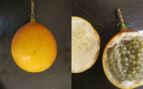 Granadilla Aka Passion Fruit Is A Sub Tropical Fruit To Be Found In Markets Throughout Peru Its Main Nutrients Consist Of Calcium Fiber Iron Niacin Ph