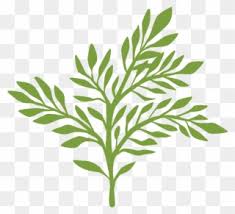 5 out of 5 stars. Free Png Greenery Clip Art Download Pinclipart